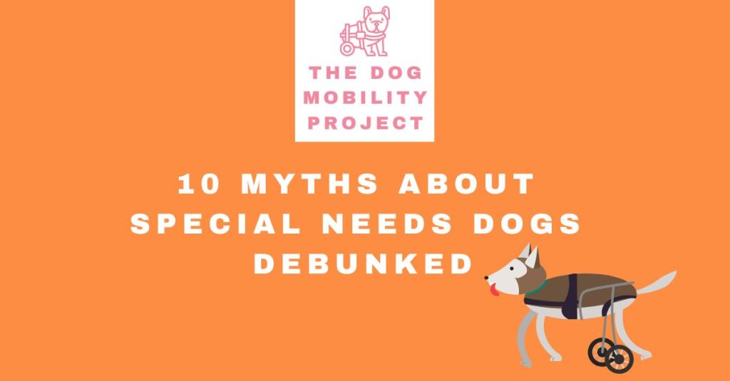 10 Myths About Special Needs Dogs&nbsp;Debunked