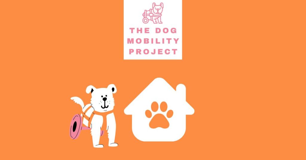 Why Special Needs Dogs Deserve Your Love: 10 Rescues Leading the&nbsp;Way