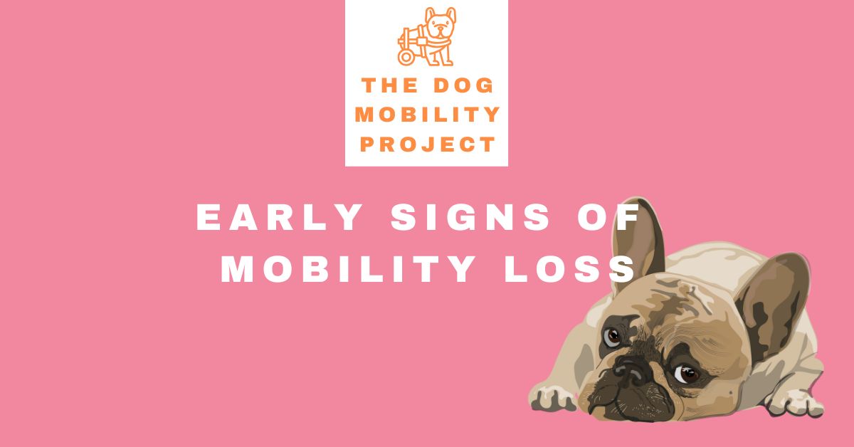 Early Signs of Mobility Loss in Dogs