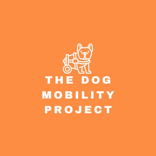 Introducing The Dog Mobility Project: Empowering Dogs to Live Life in&nbsp;Motion