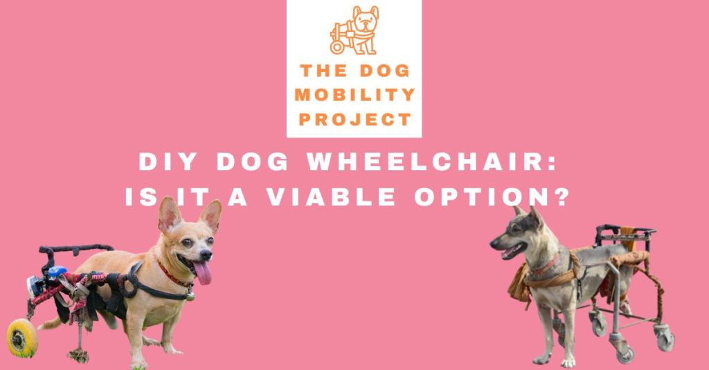 DIY Dog Wheelchair: Is It a Viable&nbsp;Option?