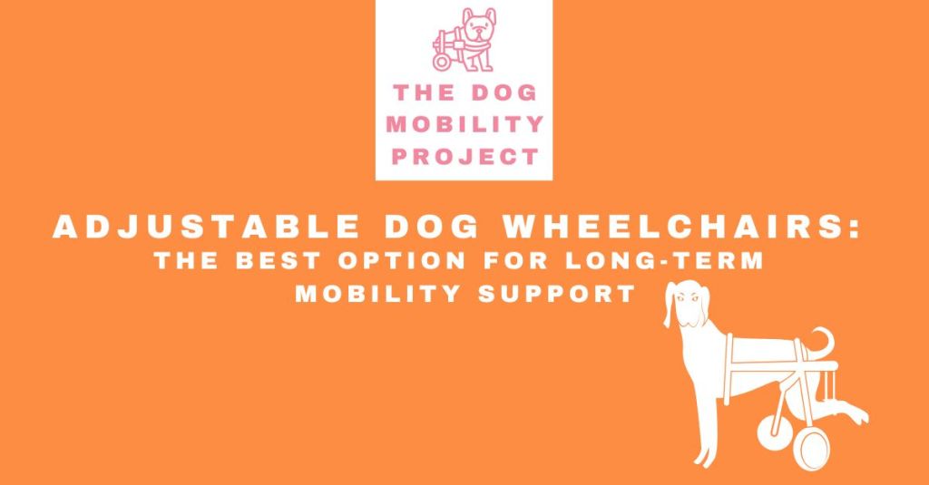 Adjustable Dog Wheelchairs: The Best Option for Long-Term Mobility&nbsp;Support