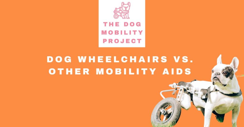 Dog Wheelchairs vs. Other Mobility Aids: Which is Right for Your&nbsp;Pet?