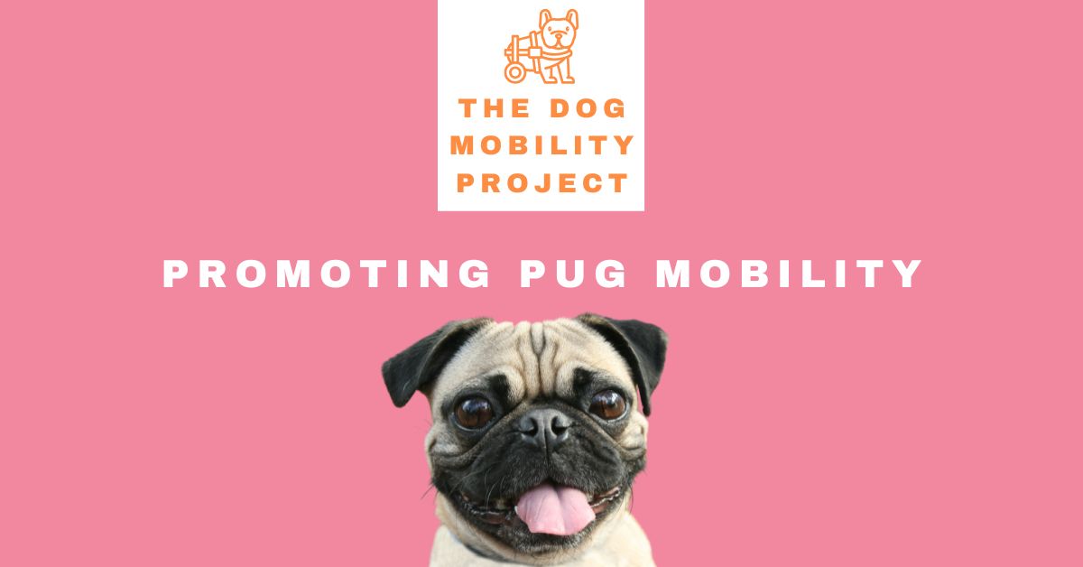 Understanding Pug Mobility