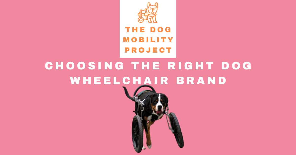 Best Dog Wheelchair Brand: How to Choose the Right Wheelchair for Your Dog