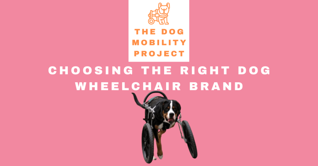 Choosing the right dog wheelchair brand