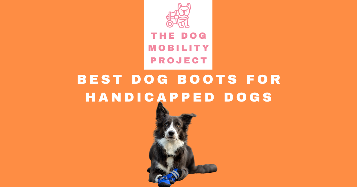Dog boots for handicapped dogs