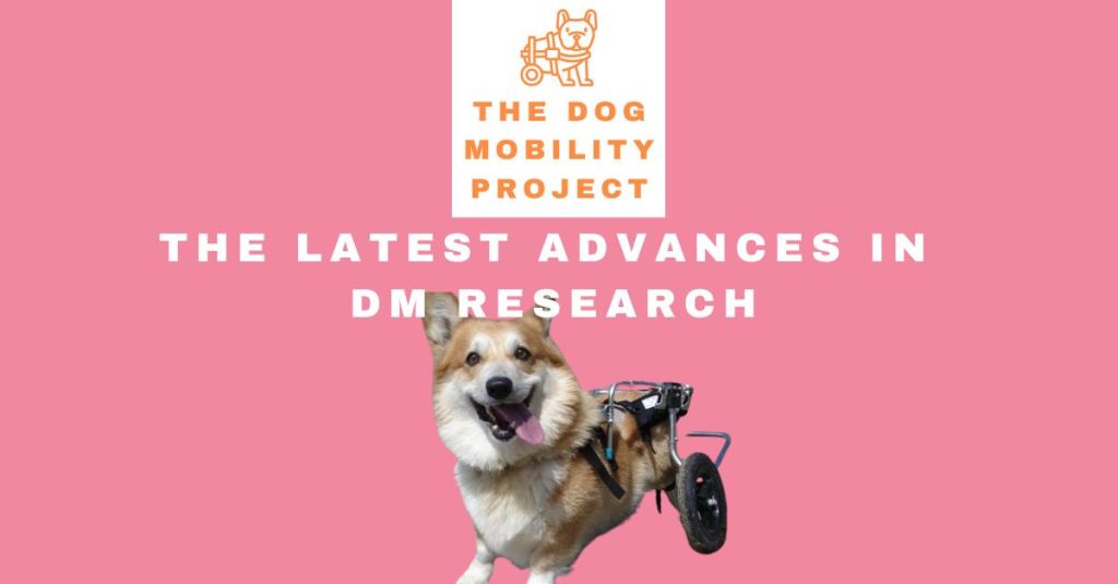 The Latest Advances in Degenerative Myelopathy&nbsp;Research