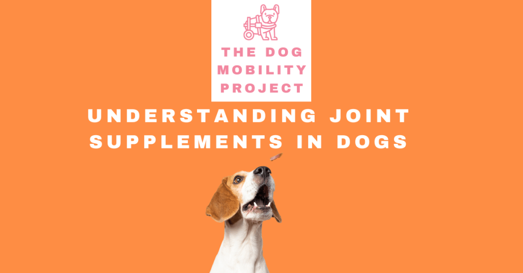 Nutrition and Supplements for Joint Health and Muscle Strength in&nbsp;Dogs