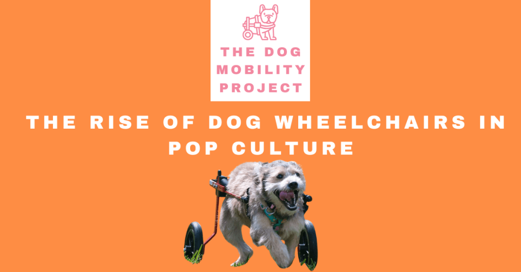 the rise of dog wheelchairs in pop culture