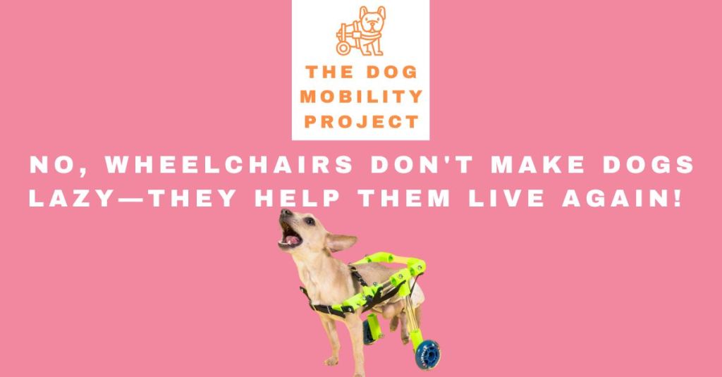 No, Wheelchairs Don’t Make Dogs Lazy—They Help Them Live&nbsp;Again!