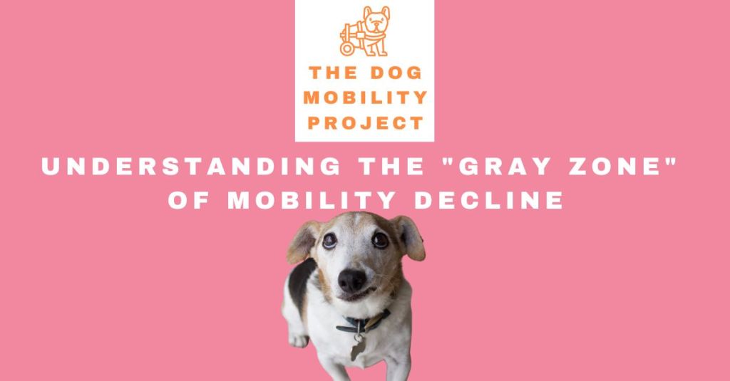 Understanding the "Gray Zone" of Mobility Decline