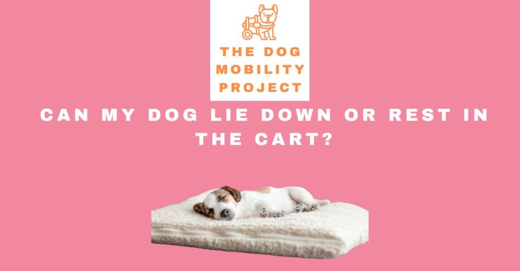Can My Dog Lie Down or Rest in the&nbsp;Cart?