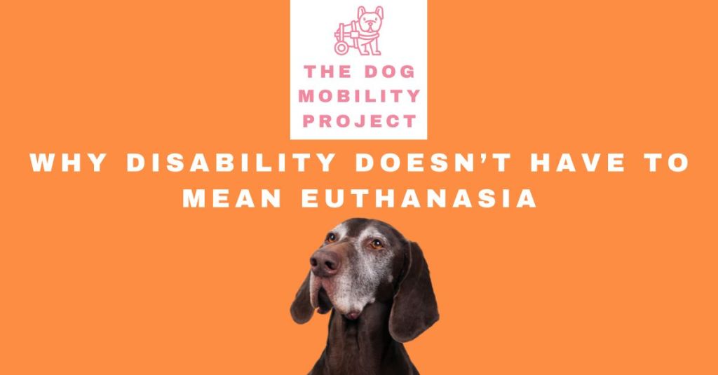 Paralyzed Dogs Deserve a Chance: Why Disability Doesn’t Mean&nbsp;Euthanasia