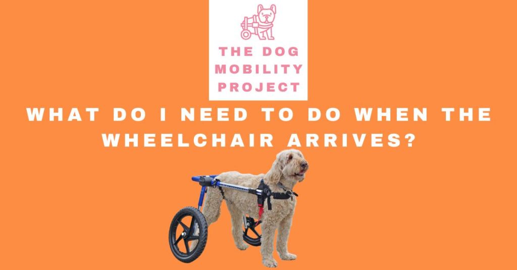 What Do I Need to Do When the Wheelchair&nbsp;Arrives?