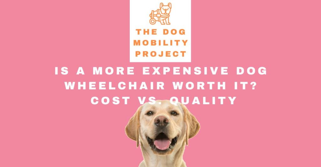 Is a More Expensive Dog Wheelchair Worth It? A Look at Cost vs.&nbsp;Quality