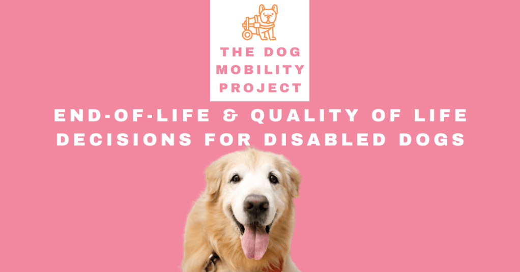 End-of-Life and Quality of Life Decisions for Disabled Dogs