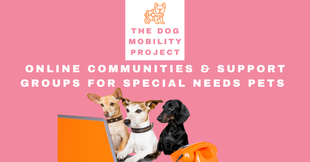 Online Communities & Support Groups for Special Needs Pet&nbsp;Parents