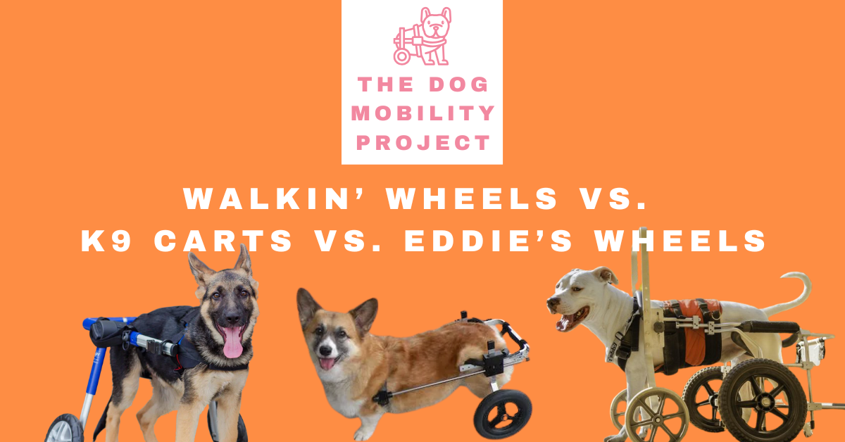K-9 Cart vs Eddie's Wheels vs DIY dog wheelchair comparison chart