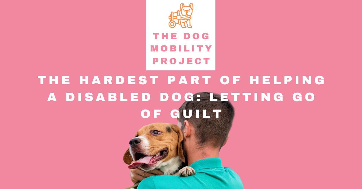 The Hardest Part of Helping a Disabled Dog: Letting Go of Guilt