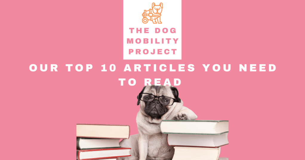 The Dog Mobility Project’s Top 10 Articles You Need to&nbsp;Read