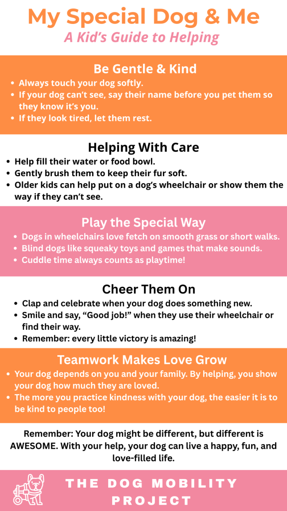 A Kid's Guide to Caring for a Special Needs Dog