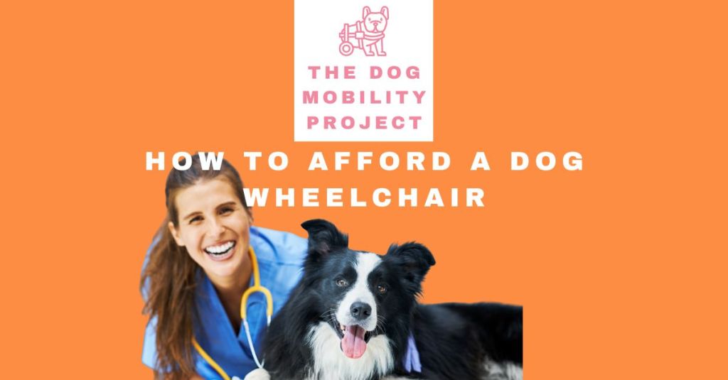 How to Afford a Dog Wheelchair: Grants, Nonprofits & Funding&nbsp;Programs