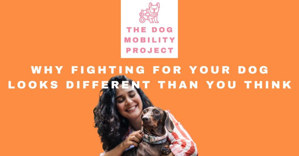 When Your Dog Gets a Diagnosis: Fighting for Them Looks Different Than You&nbsp;Think