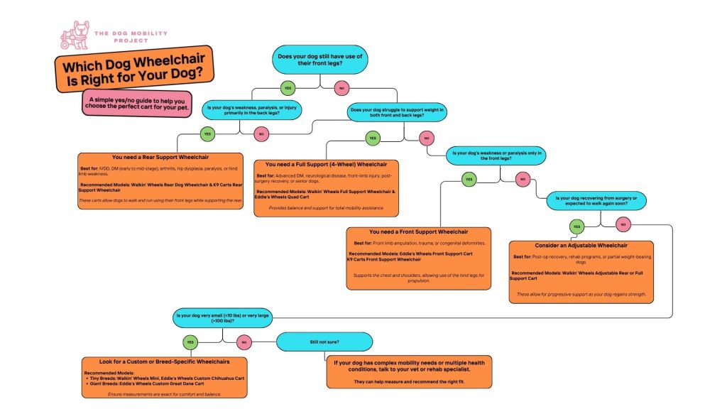 Simple decision tree graphic helping pet parents choose the right dog wheelchair. Follow yes/no questions to find the best rear, front, or full support cart for your dog’s size, breed, and mobility needs.