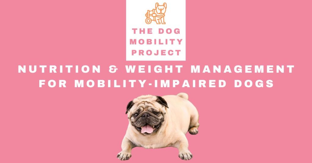 Nutrition & Weight Management for Mobility-Impaired Dogs