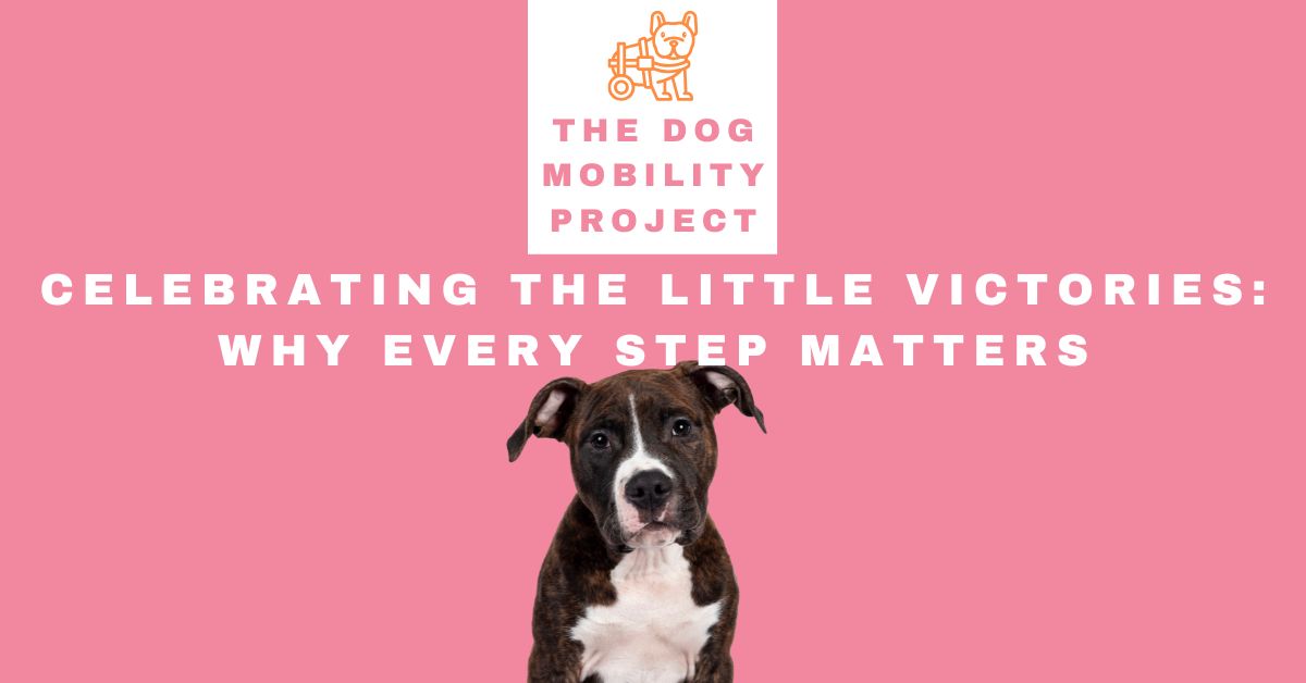 Celebrating the Little Victories: Why Every Step Matters