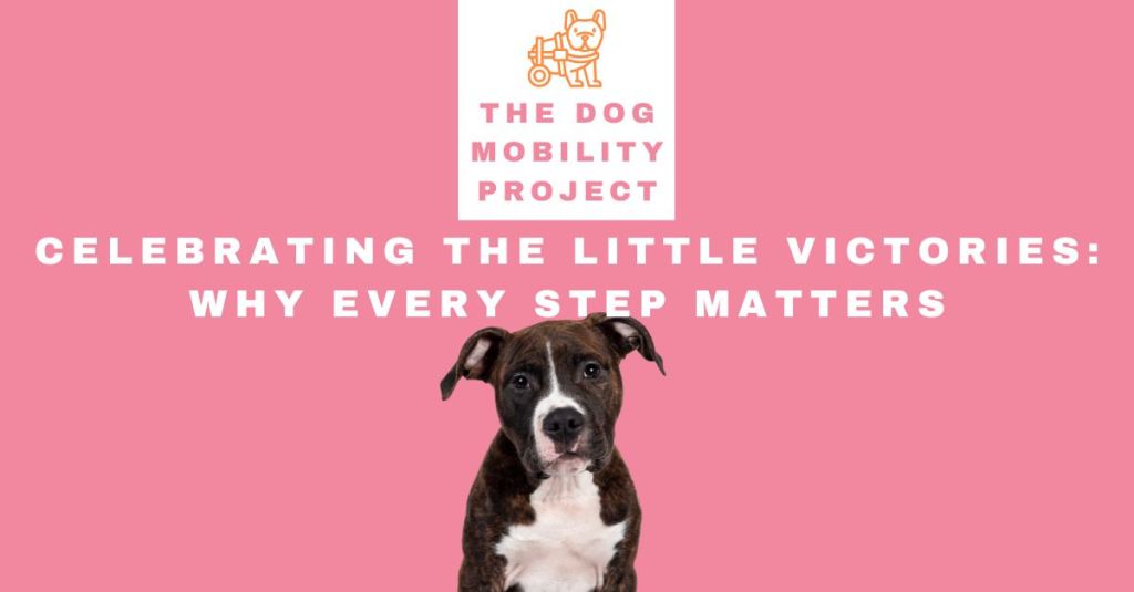 Celebrating the Little Victories: Why Every Step&nbsp;Matters