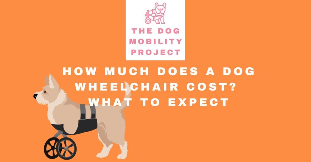 How Much Does a Dog Wheelchair Cost? What to&nbsp;Expect