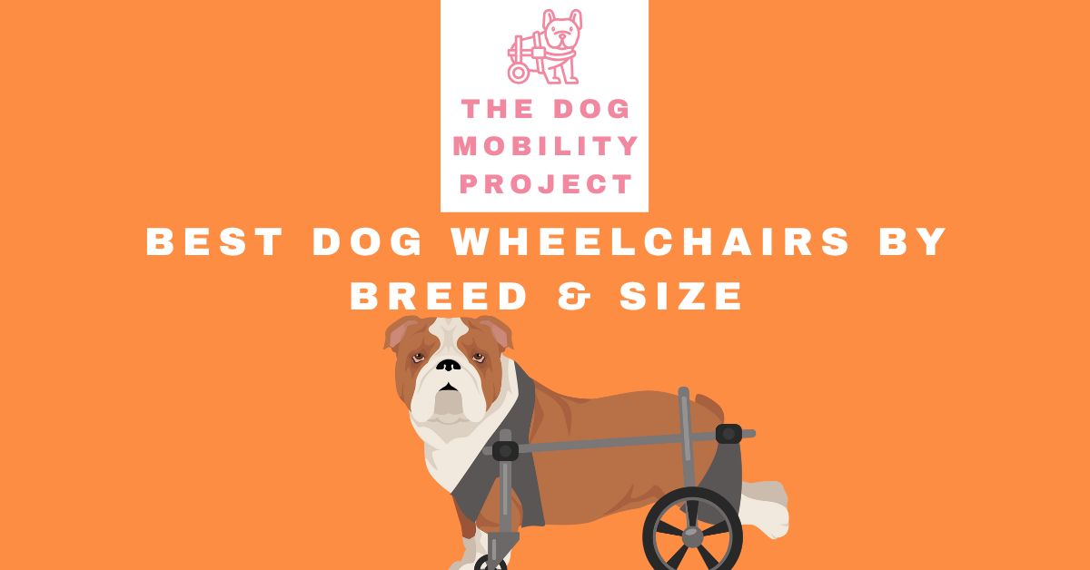 Best Dog Wheelchairs by Breed & Size