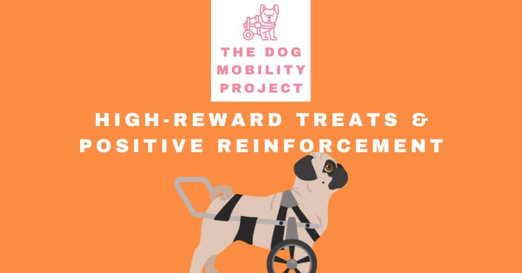 High-Reward Treats & Positive Reinforcement: Helping Your Dog Adjust to Their New&nbsp;Wheelchair