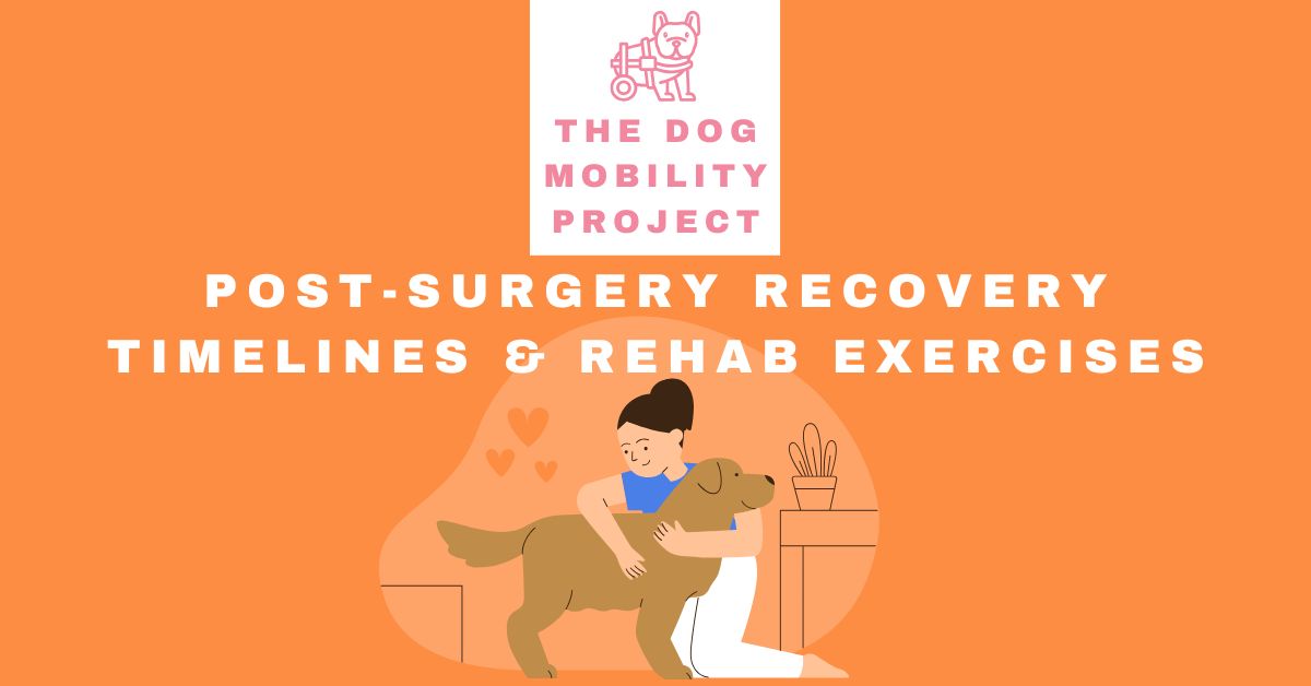 Post-Surgery Recovery Timelines & Rehab Exercises (Orthopedic + Neuro)