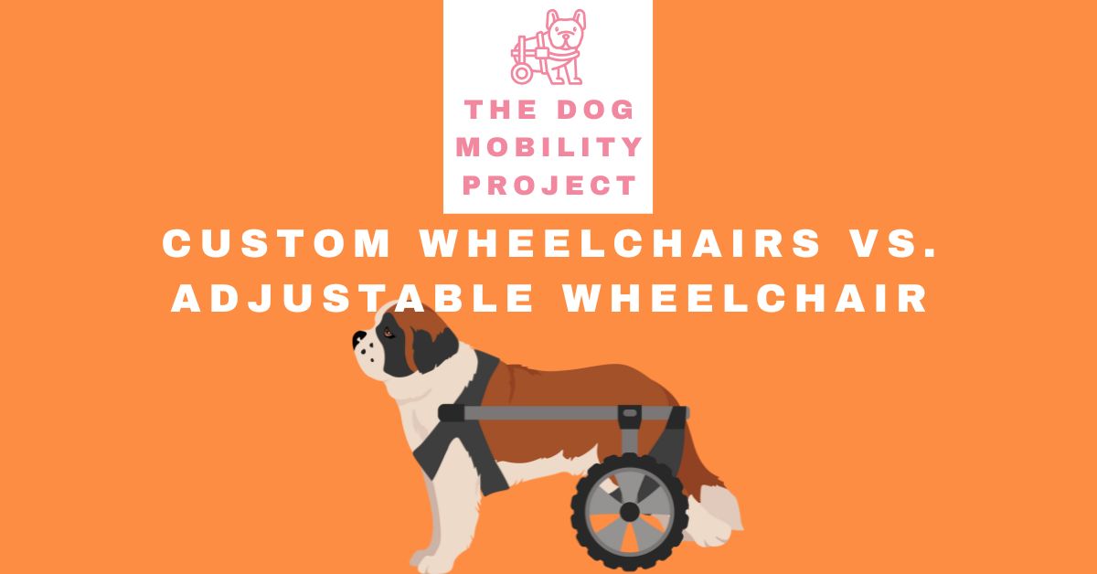 Custom Dog Wheelchairs vs. Adjustable Dog Wheelchairs: Which Is Best for Your Pet?