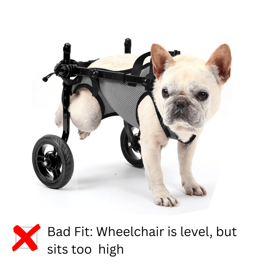 Dog wheelchair too tall