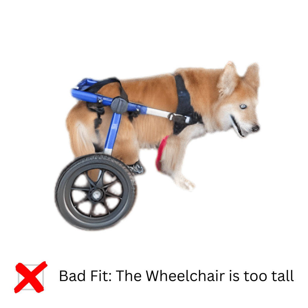 Dog wheelchair too tall